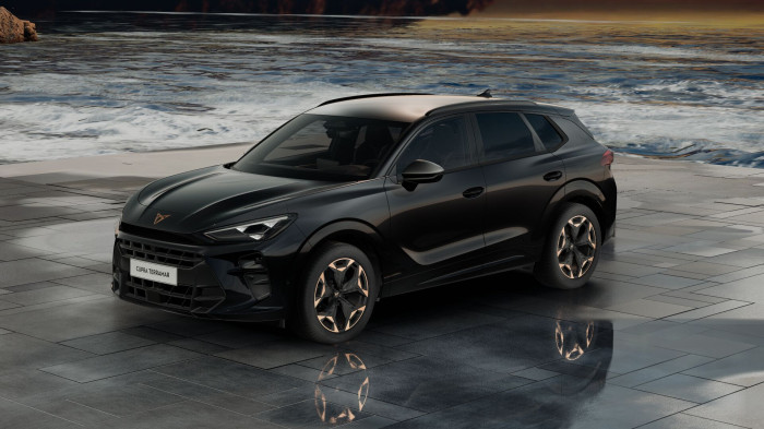 Cupra Terramar 2.0 TSI 204k DSG 4WD na operativní leasing
